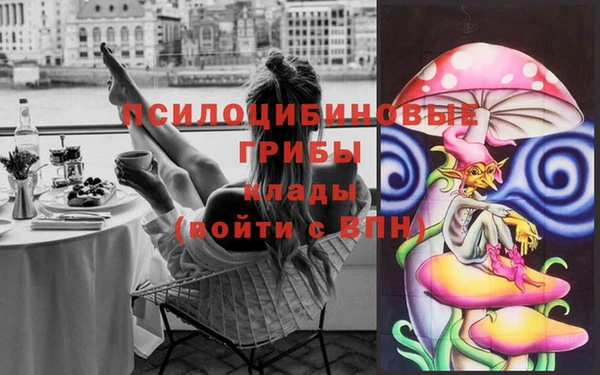 меф Алексин