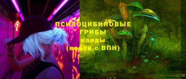 круглые Алзамай