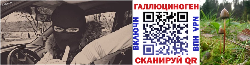 Псилоцибиновые грибы ЛСД  где купить наркоту  Приозерск 